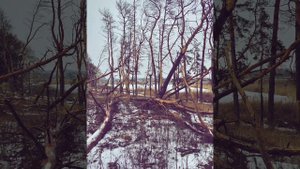Хомус варган Герасима Тарабукина