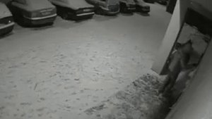 Как разбили зеркало (часть 1)