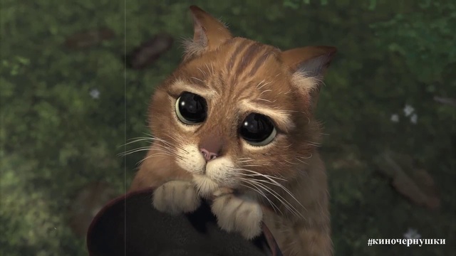  #киночернушки 6