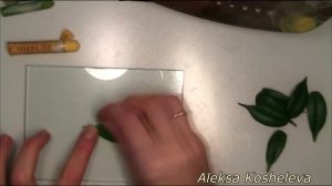 Листики САМШИТА из фоамирана с вайнерами "Ботанического сада" / МК