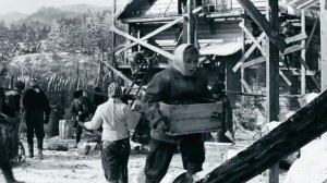 Интересные и неизвестные факты о фильме "Девчата". Реж. Ю. Чулюкин. Актеры Н.Румянцева, С.Дружинина