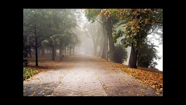 Размышление на прогулке(мой вариант)