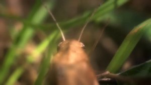 Ритмы нахлыста (ritms of fly fishing)