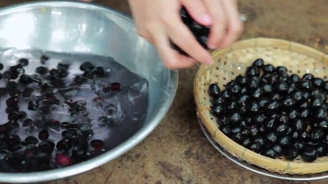 It's sour and sweet JAVA Plums Drinking | Pick Java Plums and make drinking at home смотреть онлайн