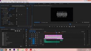 Топовый Дисклеймер В Премьере | Adobe Premiere Pro