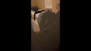 UNUSAL MEMES | НЕОБЫЧНЫЕ МЕМЫ - #8