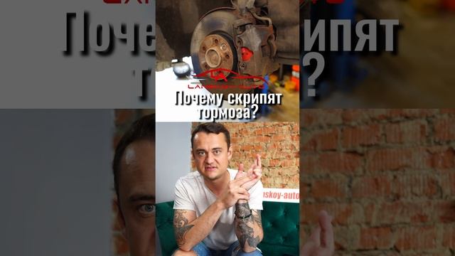 ❓ Скрипят тормоза после установки новых оригинальных заводских. Почему?