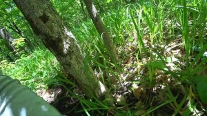 XP ORX РЕАЛЬНЫЙ КОП ХОРОШИЕ НАХОДКИ