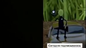 районный прокурор