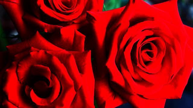 Слушать новую русскую музыку для сна онлайн смотреть онлайн