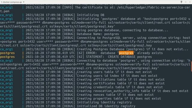 Storing Fabric CA Identities on Postgres using SSL verify-full | ADITYA JOSHI | POSTGRES | смотреть онлайн