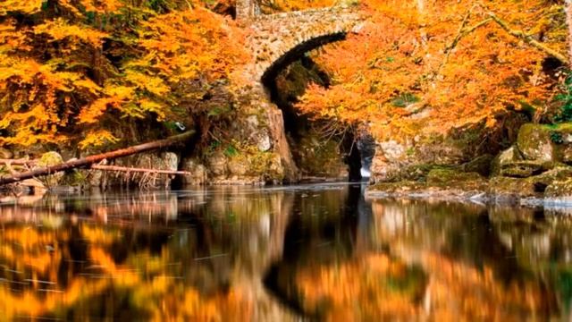 Николай Гумилев - Литературный портрет