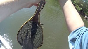 Нахлыст, ловля голавля на лодке с GPS якорем.