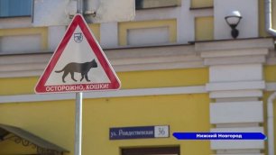 Необычный дорожный знак "Осторожно, кошки" появился на улице Рождественской в Нижнем Новгороде
