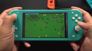 Vampire Survivors On Nintendo Switch LITE