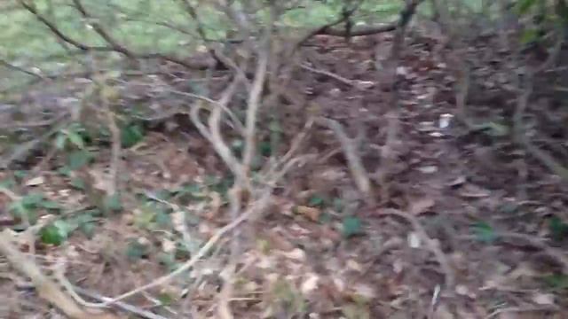 Zombie vs Wizard 529 смотреть онлайн