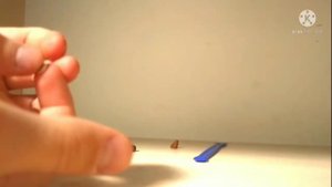 Лепим червяка из пластилина пластилиновый червяк