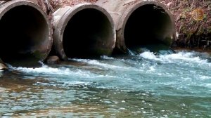 РЫБАЛКА. ТРОФЕЙНАЯ ФОРЕЛЬ НА СПИННИНГ