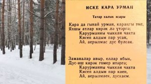 Иске кара урман