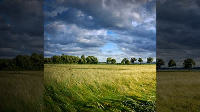 Звук ветра смотреть онлайн