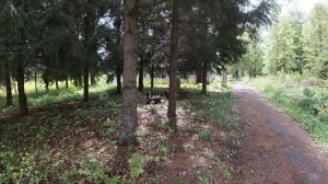 Оздоровительный лагерь "Орленок"