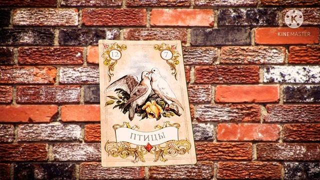 ПТИЦЫ?ДВЕНАДЦАТАЯ КАРТА ЛЕНОРМАН?ЗНАЧЕНИЕ КАРТЫ ПТИЦЫ?