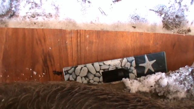 Проверка таблицы измерения веса свиней / Checking the table for measuring the weight of pigs смотреть онлайн