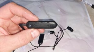 Беспроводные наушники Sony WI-C100