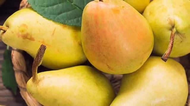 Груша польза и вред для здоровья. Что будет если есть груши каждый день смотреть онлайн