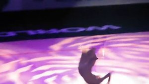 Анна Бессонова показательные выступления