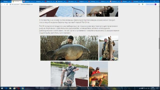 активаторы клева голодная рыба смотреть онлайн