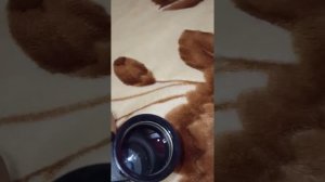 Обзор бинокля БОЦ 7х50