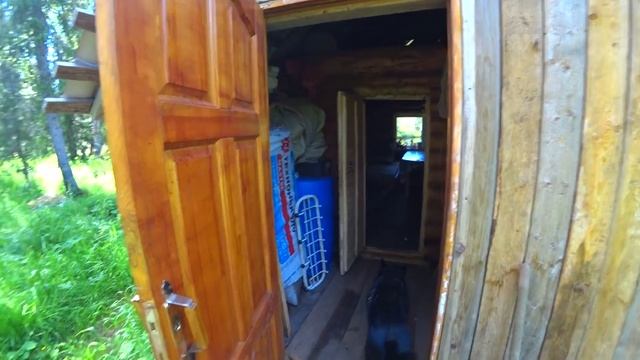 Поехали в тайгу за приключениями! Жара и солнце, день чудесный!