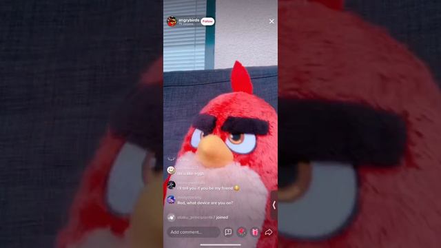 Angry Birds Red TikTok Live Stream | 8-2-21 смотреть онлайн