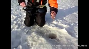 Ловля на БАЛДУ окуня.Как ловить?