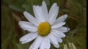 ЯНАО.Рабочий поселок вахтовиков. Ямбург.