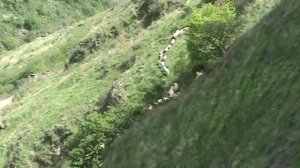 Армянская мудрость фильм снятый в армению в одзуне