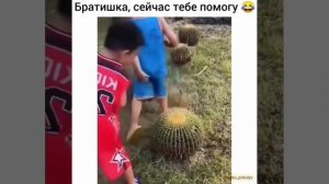 Братишка, сейчас тебе помогу