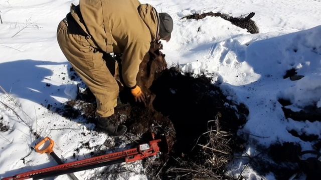 "МАРТОВСКИЙ МЕТАЛЛОКОП" НЕ СМОТРЯ НА ТО ,ЧТО ЦЕНА УПАЛА смотреть онлайн