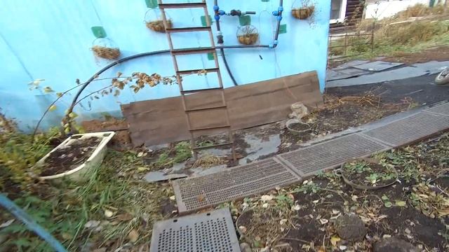 Новогоднее оформление смотреть онлайн