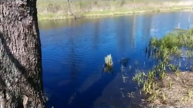 Покров Дорофеево смотреть онлайн