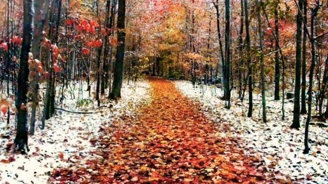 1 ноября - народный праздник Иванов День. ПРОВОДЫ ОСЕНИ. Народные приметы и поверья на Иванов ДЕНЬ.