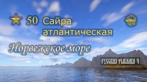 ✮ Норвежское море ✮ Сайра атлантическая ✮