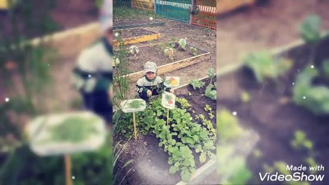 Наш весёлый огород. 2 младшая группа смотреть онлайн