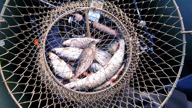 Рыбалка Озеро Колок Прибайкальский район смотреть онлайн