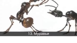 Скульптуры животных, сделанные из металлолома