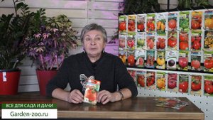 Лучший Томат для теплиц ? Сорт Томат Мадам Клико ? Советы от Garden-zoo.ru сад