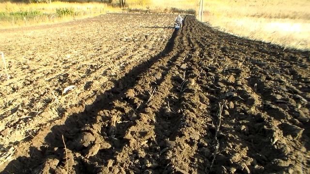Вспашка мокрой земли на зиму смотреть онлайн