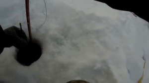 ЗИМНЯЯ РЫБАЛКА НА ЭКРАНЫ!! ОНИ ЛОВЯТ!!