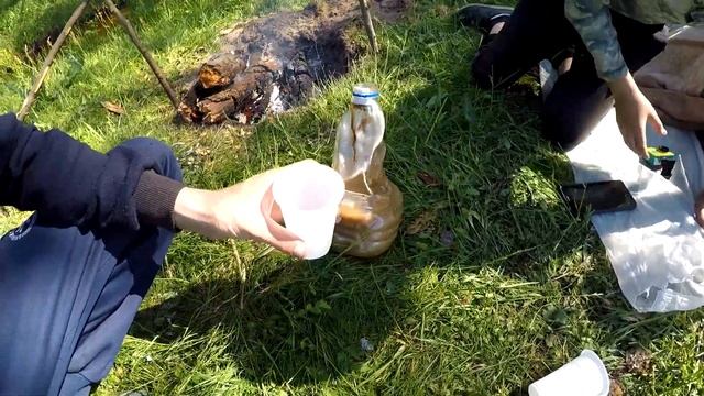 24 Часа в Лесу. Строим Шалаш. Выживание в Лесу смотреть онлайн